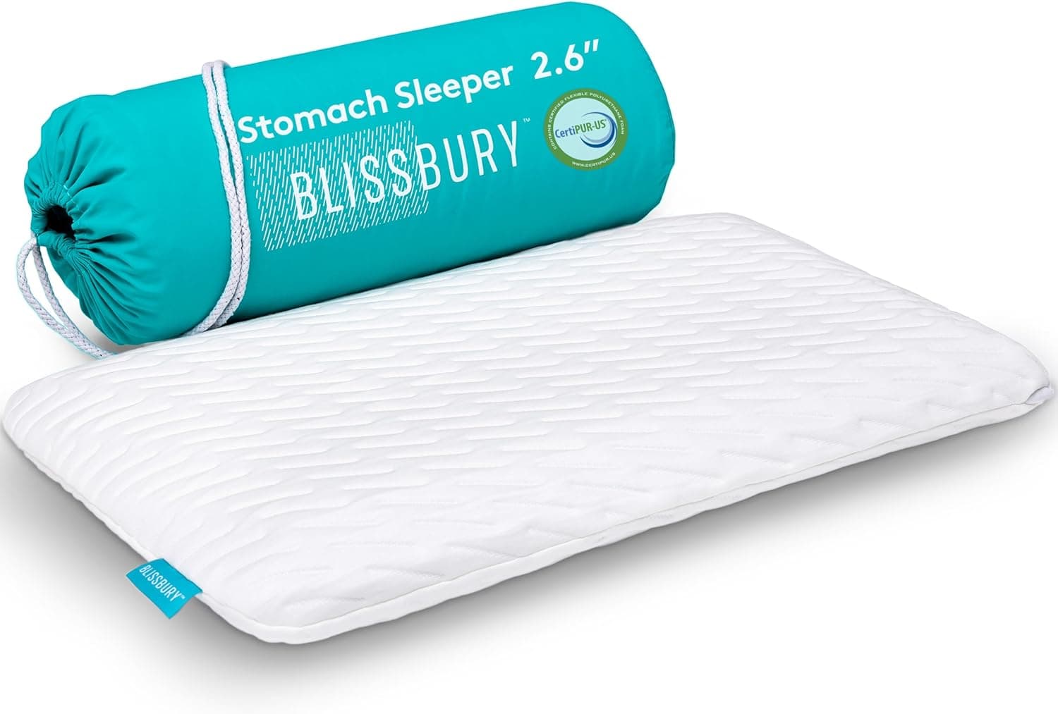 Blissbury Ultra Thin 2.6" Pillow